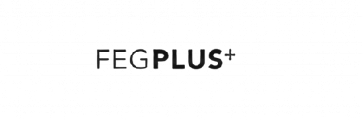fegplus logo frame4